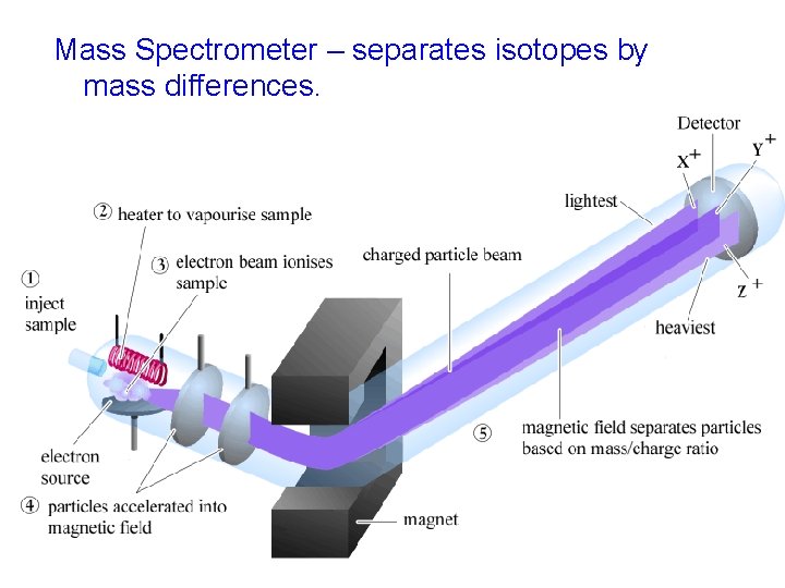 Mass Spectrometer – separates isotopes by mass differences. 