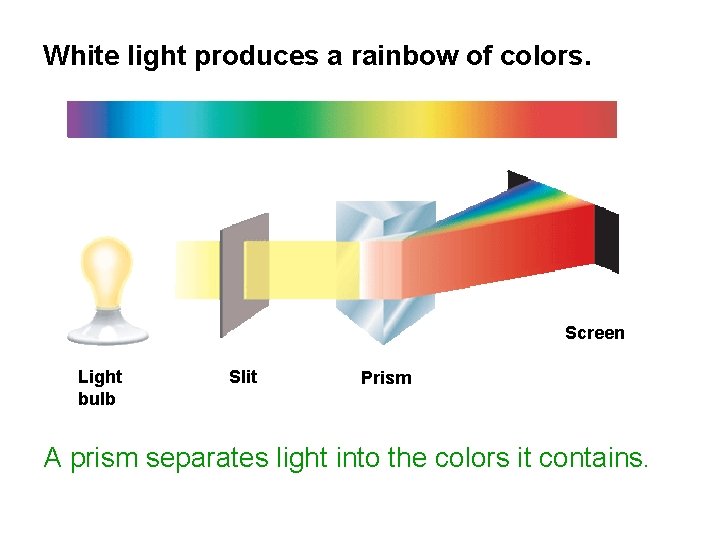 White light produces a rainbow of colors. Screen Light bulb Slit Prism A prism