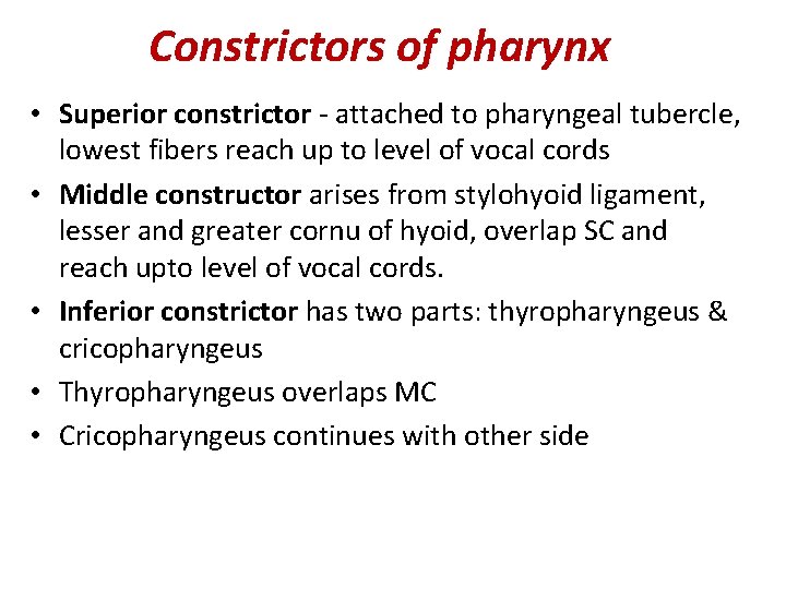 Constrictors of pharynx • Superior constrictor - attached to pharyngeal tubercle, lowest fibers reach