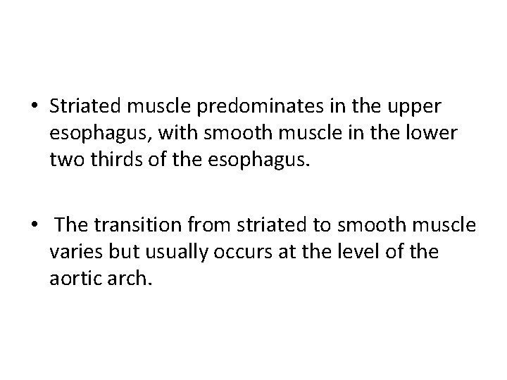  • Striated muscle predominates in the upper esophagus, with smooth muscle in the