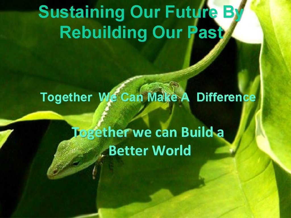 Sustaining Our Future By Rebuilding Our Past Together We Can Make A Difference Together