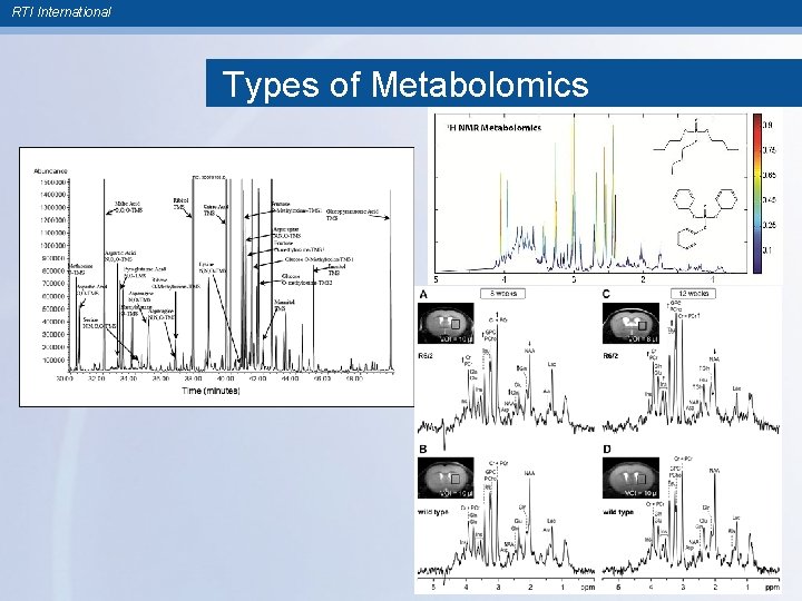 RTI International Types of Metabolomics 