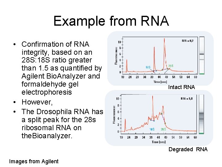 Example from RNA • Confirmation of RNA integrity, based on an 28 S: 18