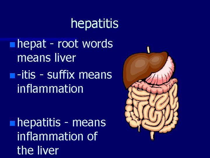 hepatitis n hepat - root words means liver n -itis - suffix means inflammation