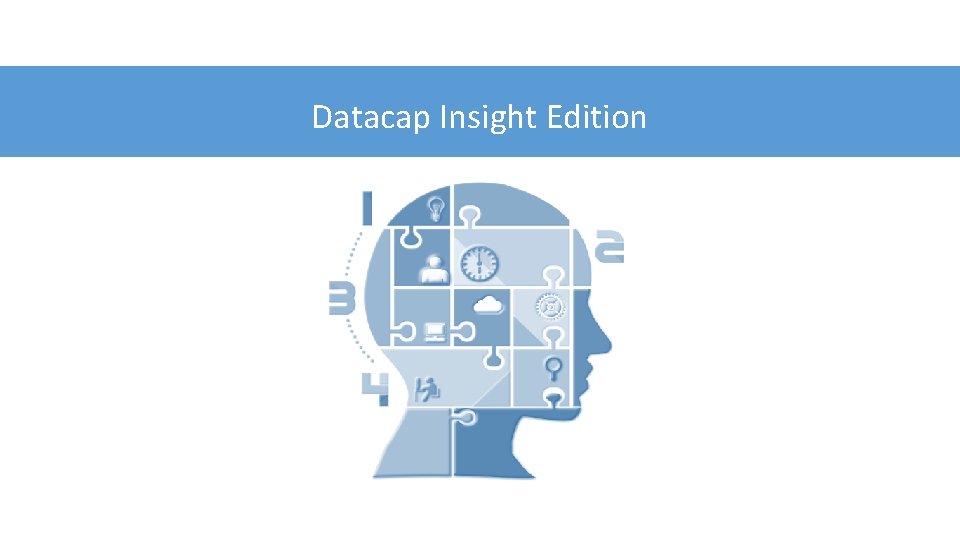 Datacap Insight Edition 