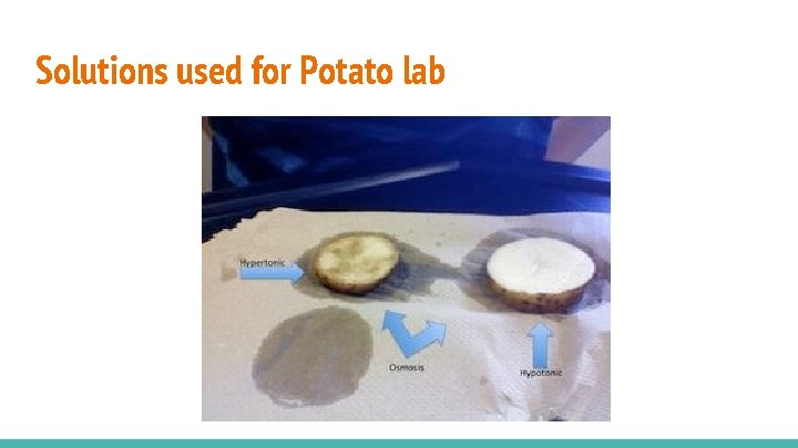 Solutions used for Potato lab 