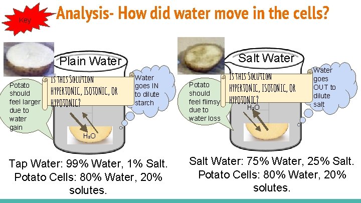 Key Analysis- How did water move in the cells? Salt Water Plain Water Potato