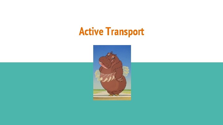 Active Transport 