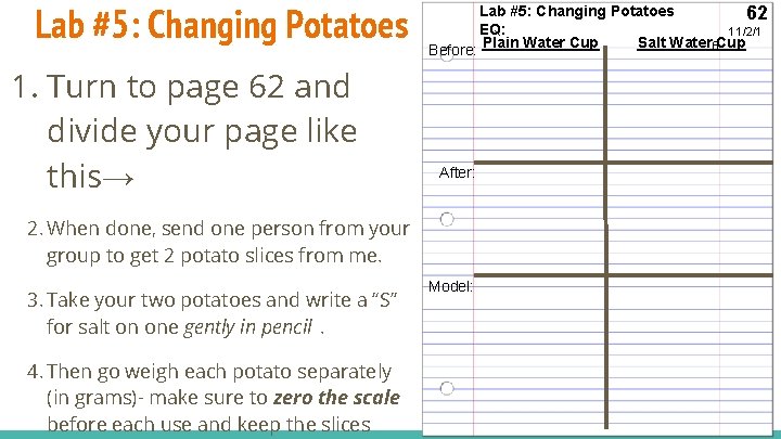 Lab #5: Changing Potatoes 1. Turn to page 62 and divide your page like