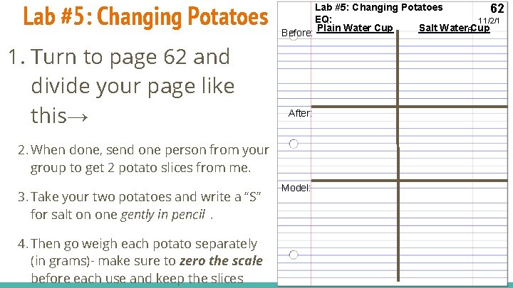 Lab #5: Changing Potatoes 1. Turn to page 62 and divide your page like