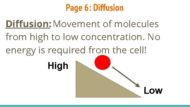 Page 6: Diffusion: Movement of molecules from high to low concentration. No energy is