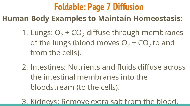 Foldable: Page 7 Diffusion Human Body Examples to Maintain Homeostasis: 1. Lungs: O 2