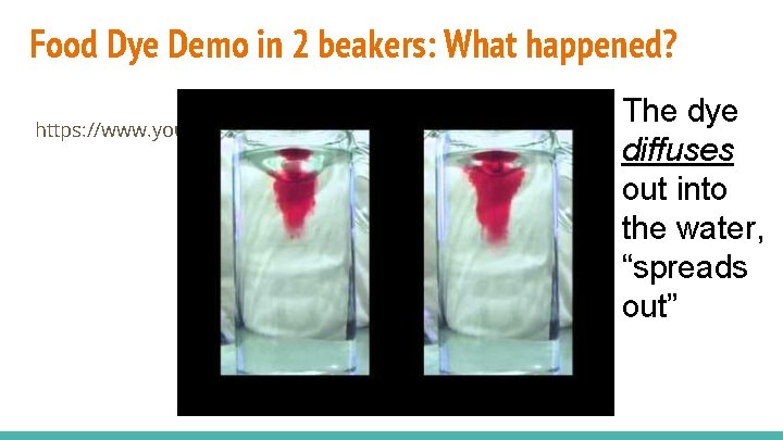 Food Dye Demo in 2 beakers: What happened? https: //www. youtube. com/watch? v=i. HHCGidm.