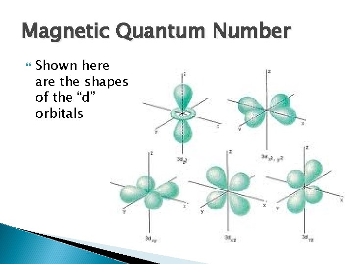 Magnetic Quantum Number Shown here are the shapes of the “d” orbitals 