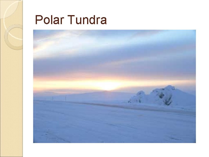 Polar Tundra 