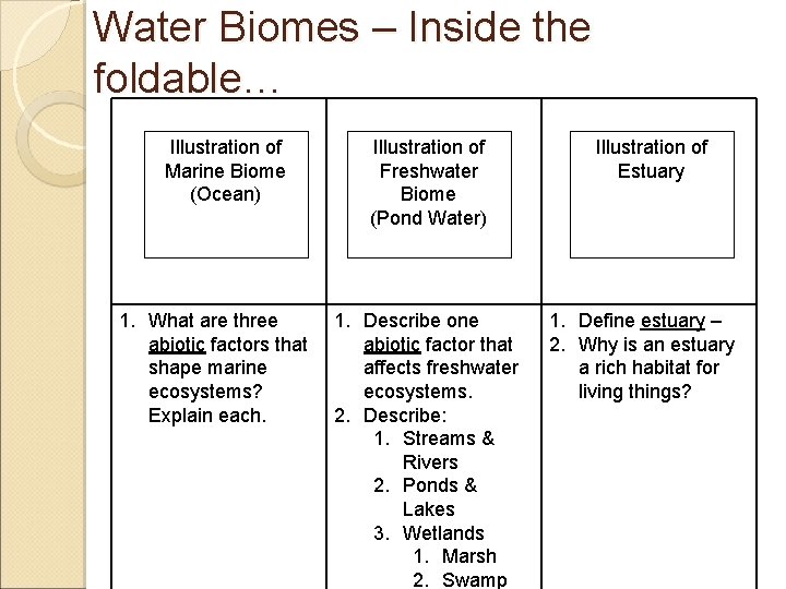 Water Biomes – Inside the foldable… Illustration of Marine Biome (Ocean) 1. What are