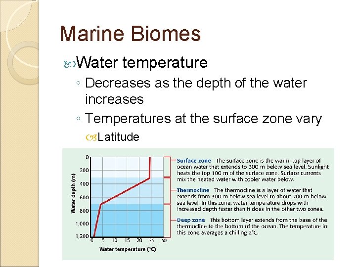 Marine Biomes Water temperature ◦ Decreases as the depth of the water increases ◦