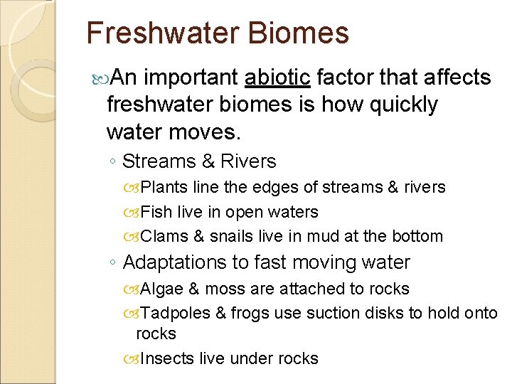 Freshwater Biomes An important abiotic factor that affects freshwater biomes is how quickly water