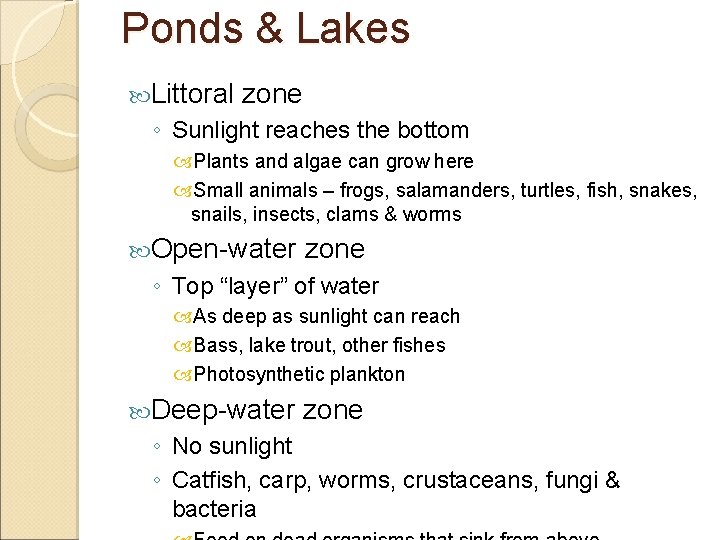 Ponds & Lakes Littoral zone ◦ Sunlight reaches the bottom Plants and algae can