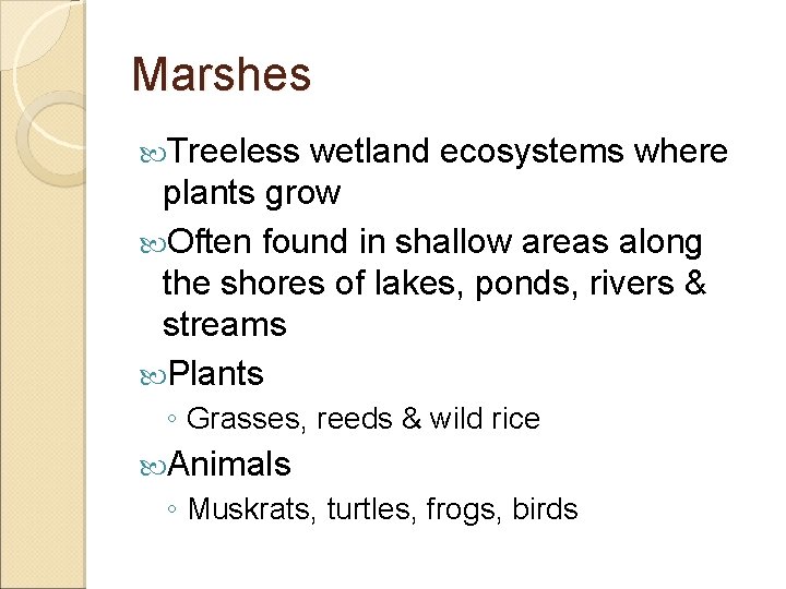 Marshes Treeless wetland ecosystems where plants grow Often found in shallow areas along the