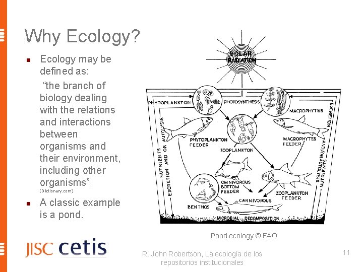 Why Ecology? n Ecology may be defined as: “the branch of biology dealing with