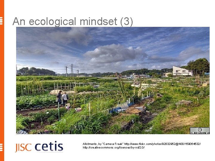 An ecological mindset (3) Allotments, by “Camera Freak” http: //www. flickr. com/photos/92832952@N 00/159064532/ http: