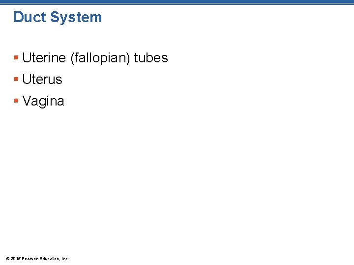 Duct System § Uterine (fallopian) tubes § Uterus § Vagina © 2015 Pearson Education,