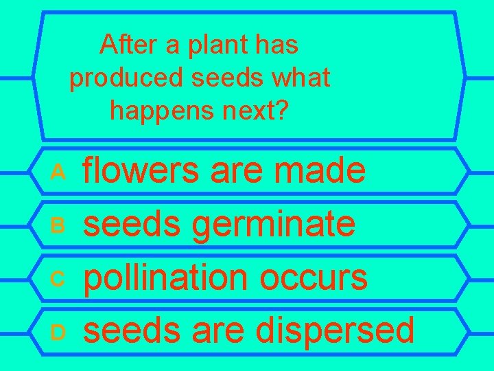 After a plant has produced seeds what happens next? A B C D flowers