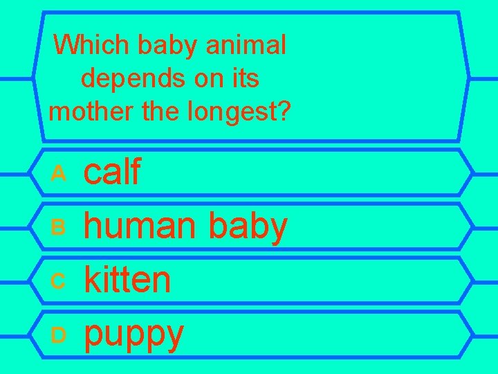 Which baby animal depends on its mother the longest? A B C D calf