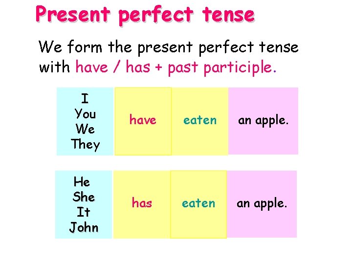 Present perfect tense We form the present perfect tense with have / has +