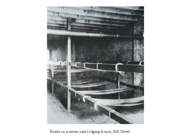 Bunks in a seven-cent lodging-house, Pell Street 
