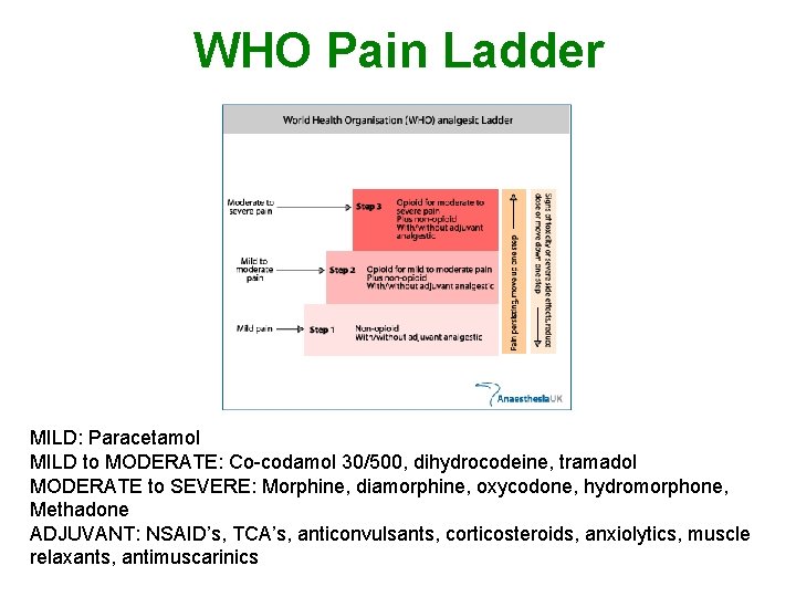 WHO Pain Ladder MILD: Paracetamol MILD to MODERATE: Co-codamol 30/500, dihydrocodeine, tramadol MODERATE to