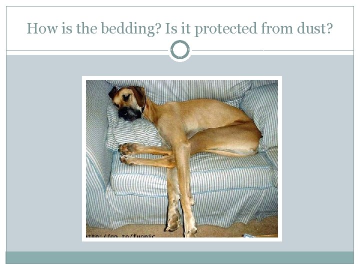 How is the bedding? Is it protected from dust? 