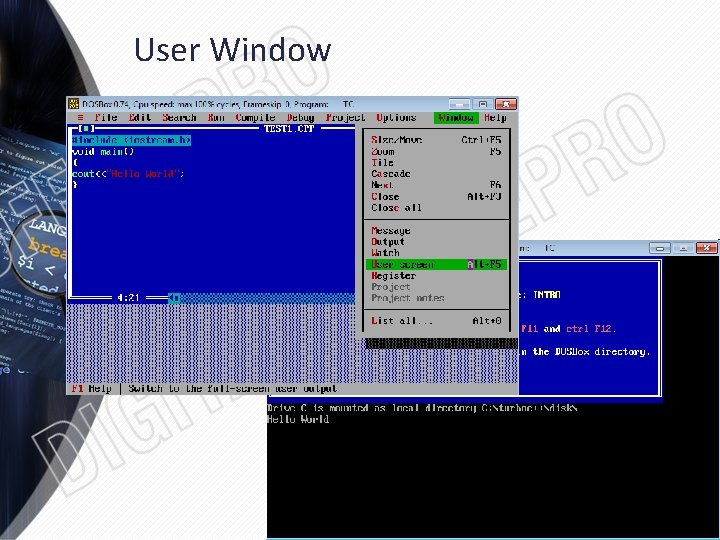 User Window 