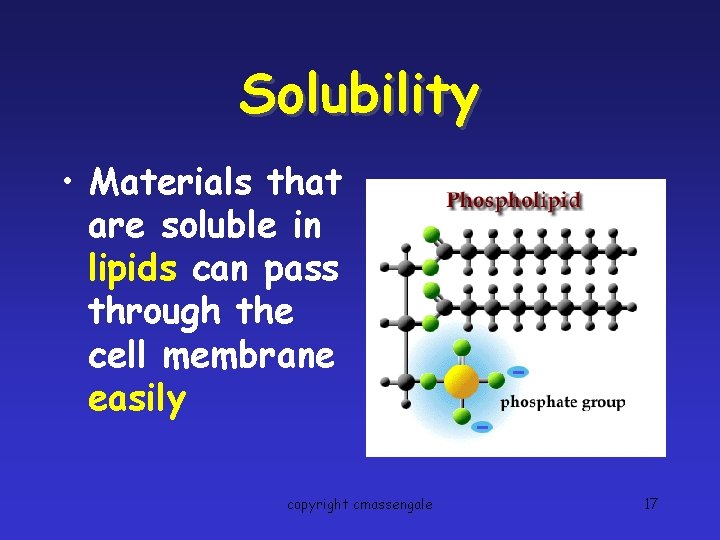Solubility • Materials that are soluble in lipids can pass through the cell membrane