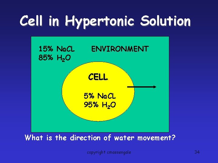 Cell in Hypertonic Solution 15% Na. CL 85% H 2 O ENVIRONMENT CELL 5%