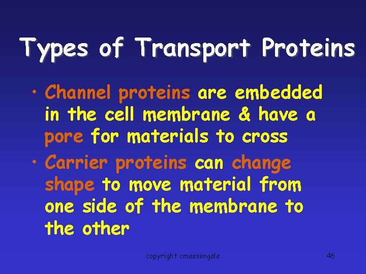 Types of Transport Proteins • Channel proteins are embedded in the cell membrane &