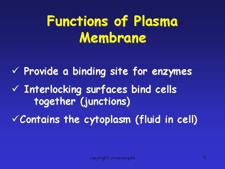 Functions of Plasma Membrane ü Provide a binding site for enzymes ü Interlocking surfaces