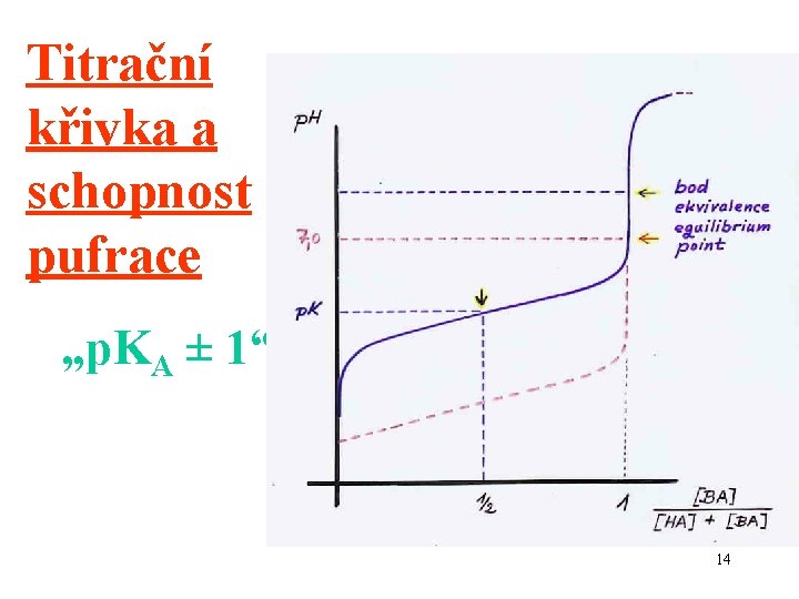 Titrační křivka a schopnost pufrace „p. KA ± 1“ 14 