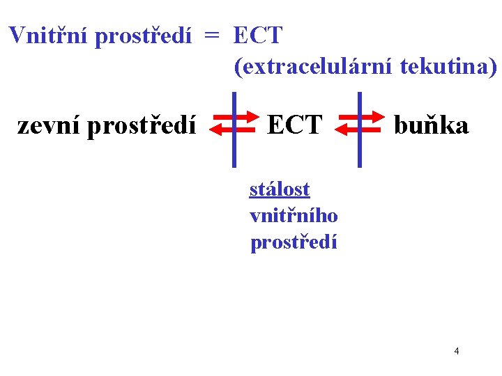 Vnitřní prostředí = ECT (extracelulární tekutina) zevní prostředí ECT buňka stálost vnitřního prostředí 4