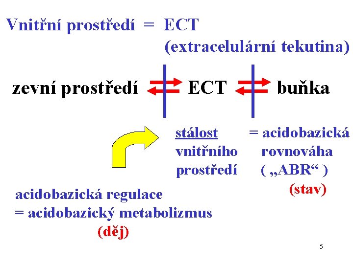 Vnitřní prostředí = ECT (extracelulární tekutina) zevní prostředí ECT buňka stálost = acidobazická vnitřního