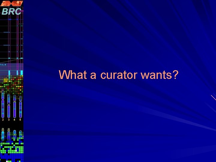 What a curator wants? 