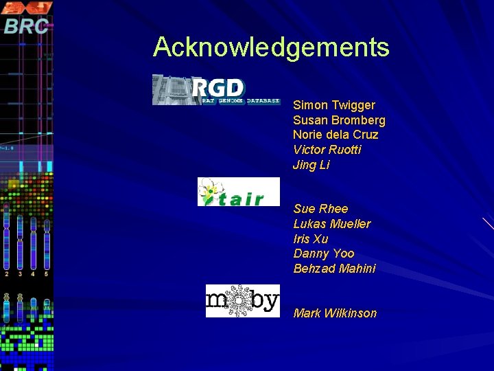 Acknowledgements Simon Twigger Susan Bromberg Norie dela Cruz Victor Ruotti Jing Li Sue Rhee