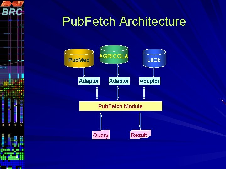 Pub. Fetch Architecture AGRICOLA Pub. Med Adaptor Lit. Db Adaptor Pub. Fetch Module Query