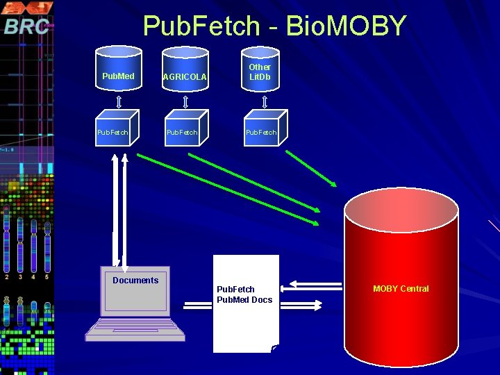 Pub. Fetch - Bio. MOBY Pub. Med Pub. Fetch Cancer+AN PMIDs Documents D+rat AGRICOLA