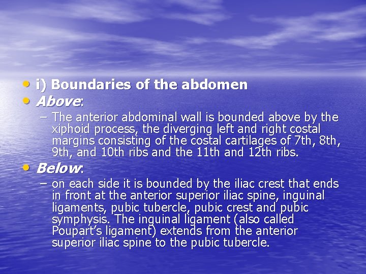  • i) Boundaries of the abdomen • Above: – The anterior abdominal wall