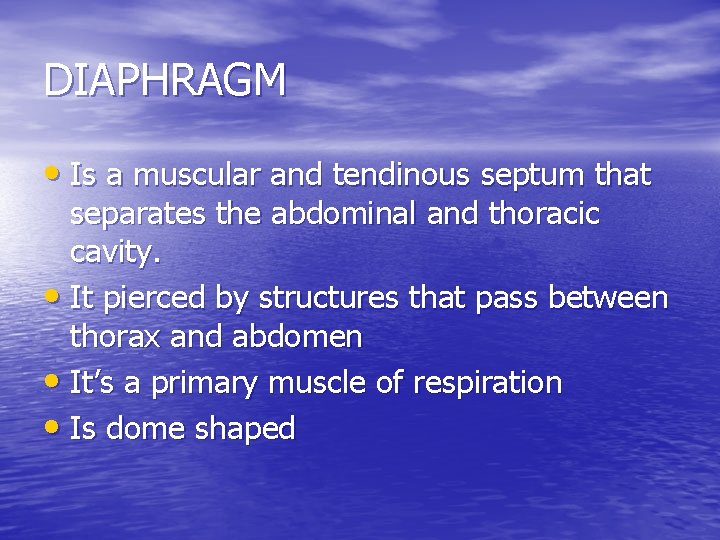 DIAPHRAGM • Is a muscular and tendinous septum that separates the abdominal and thoracic