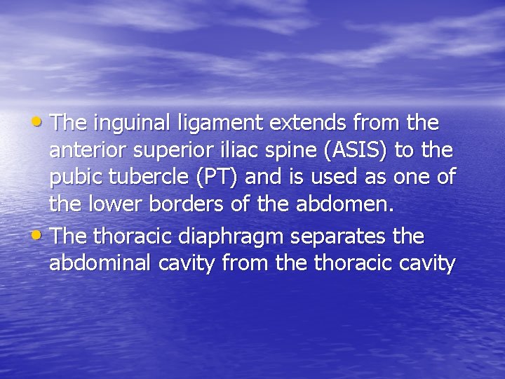  • The inguinal ligament extends from the anterior superior iliac spine (ASIS) to