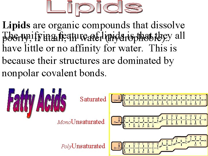 Lipids are organic compounds that dissolve The unifying feature of lipids is that they
