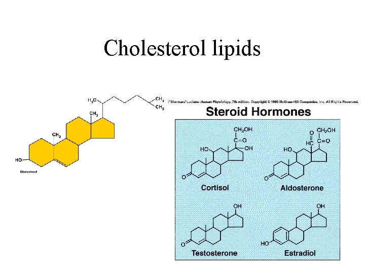 Cholesterol lipids 